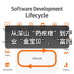 从深山“药疙瘩”到产业“金宝贝”，“富民车间”助力贵州德江产业富农（图3）