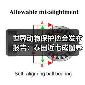 世界动物保护协会发布报告:泰国近七成圈养大象生存福利堪忧(图1) 世界动物保护协会发布报告:泰国近七成圈养大象生存福利堪忧(图1)