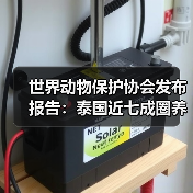 世界动物保护协会发布报告:泰国近七成圈养大象生存福利堪忧(图3) 世界动物保护协会发布报告:泰国近七成圈养大象生存福利堪忧(图3)