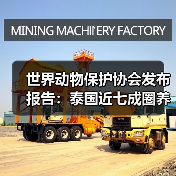 世界动物保护协会发布报告:泰国近七成圈养大象生存福利堪忧(图2) 世界动物保护协会发布报告:泰国近七成圈养大象生存福利堪忧(图2)