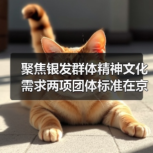 聚焦银发群体精神文化需求两项团体标准在京发布（图2）
