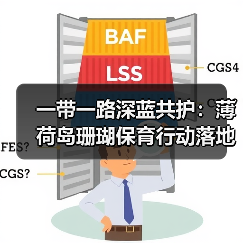 一带一路深蓝共护:薄荷岛珊瑚保育行动落地 海洋可持续生态旅行计划同步启动(图4) 一带一路深蓝共护:薄荷岛珊瑚保育行动落地 海洋可持续生态旅行计划同步启动(图4)