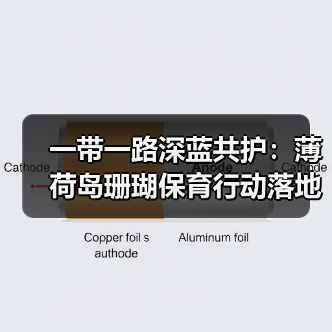 一带一路深蓝共护:薄荷岛珊瑚保育行动落地 海洋可持续生态旅行计划同步启动(图1) 一带一路深蓝共护:薄荷岛珊瑚保育行动落地 海洋可持续生态旅行计划同步启动(图1)