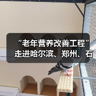 “老年营养改善工程”走进哈尔滨、郑州、石家庄(图3) “老年营养改善工程”走进哈尔滨、郑州、石家庄(图3)