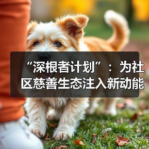 “深根者计划”：为社区慈善生态注入新动能（图4）