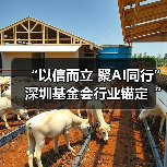 “以信而立 聚AI同行” 深圳基金会行业锚定“十五五”高质量发展新坐标(图3) “以信而立 聚AI同行” 深圳基金会行业锚定“十五五”高质量发展新坐标(图3)
