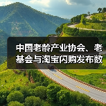 中国老龄产业协会、老基会与淘宝闪购发布数字化老年助餐服务团体标准(图2) 中国老龄产业协会、老基会与淘宝闪购发布数字化老年助餐服务团体标准(图2)