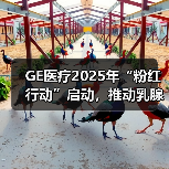 GE医疗2025年“粉红行动”启动,推动乳腺早筛“触见”即“行动”(图3) GE医疗2025年“粉红行动”启动,推动乳腺早筛“触见”即“行动”(图3)