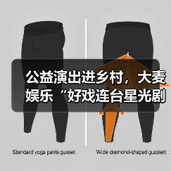公益演出进乡村，大麦娱乐“好戏连台星光剧场”把舞台搬到百姓家门口（图3）