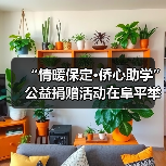 “情暖保定·侨心助学” 公益捐赠活动在阜平举行（图3）