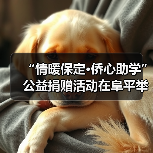 “情暖保定·侨心助学” 公益捐赠活动在阜平举行（图2）
