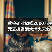 紫金矿业捐赠2000万港元支援香港大埔火灾救助重建（图1）