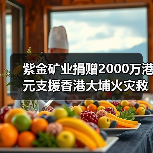 紫金矿业捐赠2000万港元支援香港大埔火灾救助重建（图2）