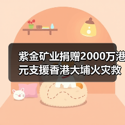 紫金矿业捐赠2000万港元支援香港大埔火灾救助重建（图4）
