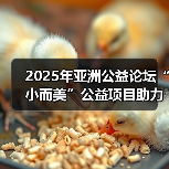 2025年亚洲公益论坛“小而美”公益项目助力民心相通平行论坛在琼举办（图4）