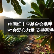 中国红十字基金会携手社会爱心力量 支持香港重大火灾救援行动（图3）