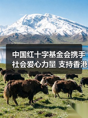 中国红十字基金会携手社会爱心力量 支持香港重大火灾救援行动（图2）