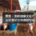 图集:老龄健康文化产业发展研究课题组专家在京座谈(图3) 图集:老龄健康文化产业发展研究课题组专家在京座谈(图3)