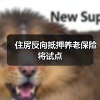 住房反向抵押养老保险将试点（图4）