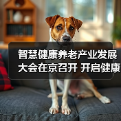 智慧健康养老产业发展大会在京召开 开启健康养老新时代(图4) 智慧健康养老产业发展大会在京召开 开启健康养老新时代(图4)