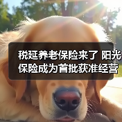 税延养老保险来了 阳光保险成为首批获准经营险企(图4) 税延养老保险来了 阳光保险成为首批获准经营险企(图4)