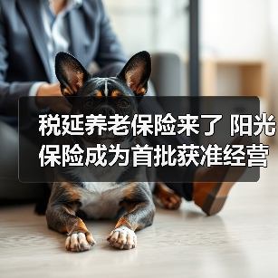 税延养老保险来了 阳光保险成为首批获准经营险企(图2) 税延养老保险来了 阳光保险成为首批获准经营险企(图2)