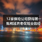 12家保险公司获得第一批税延养老保险业务经营资格(图4) 12家保险公司获得第一批税延养老保险业务经营资格(图4)