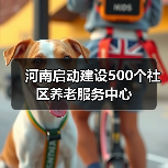 河南启动建设500个社区养老服务中心(图3) 河南启动建设500个社区养老服务中心(图3)