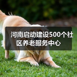 河南启动建设500个社区养老服务中心(图2) 河南启动建设500个社区养老服务中心(图2)