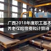 广西2018年度职工基本养老保险缴费和计算待遇基数出炉(图1) 广西2018年度职工基本养老保险缴费和计算待遇基数出炉(图1)