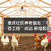 重庆社区养老服务“千百工程”启动 新增服务站将给予补助(图1) 重庆社区养老服务“千百工程”启动 新增服务站将给予补助(图1)