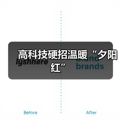 高科技硬招温暖“夕阳红”(图3) 高科技硬招温暖“夕阳红”(图3)