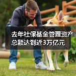 去年社保基金管理资产总额达到近3万亿元（图3）