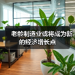 老龄制造业或将成为新的经济增长点（图2）