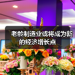 老龄制造业或将成为新的经济增长点（图3）