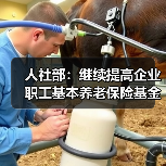 人社部：继续提高企业职工基本养老保险基金中央调剂比例（图1）