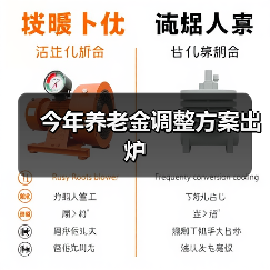 今年养老金调整方案出炉(图3) 今年养老金调整方案出炉(图3)