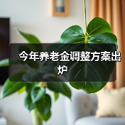 今年养老金调整方案出炉(图2) 今年养老金调整方案出炉(图2)