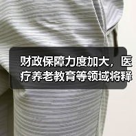 财政保障力度加大,医疗养老教育等领域将释放政策红利!(图2) 财政保障力度加大,医疗养老教育等领域将释放政策红利!(图2)