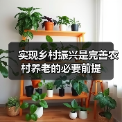 实现乡村振兴是完善农村养老的必要前提(图1) 实现乡村振兴是完善农村养老的必要前提(图1)