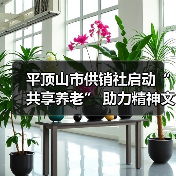 平顶山市供销社启动“共享养老” 助力精神文明建设（图1）