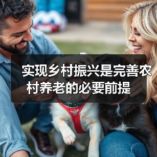 实现乡村振兴是完善农村养老的必要前提(图2) 实现乡村振兴是完善农村养老的必要前提(图2)