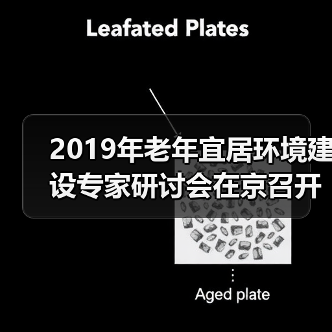 2019年老年宜居环境建设专家研讨会在京召开(图1) 2019年老年宜居环境建设专家研讨会在京召开(图1)