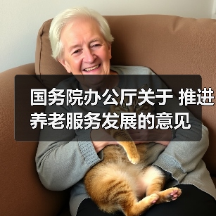 国务院办公厅关于 推进养老服务发展的意见(图4) 国务院办公厅关于 推进养老服务发展的意见(图4)
