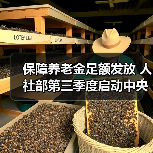 保障养老金足额发放 人社部第三季度启动中央调剂资金缴拨（图2）