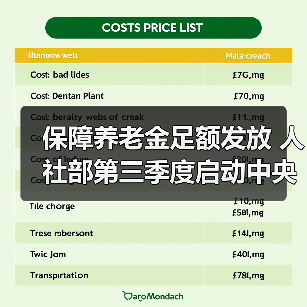 保障养老金足额发放 人社部第三季度启动中央调剂资金缴拨（图3）