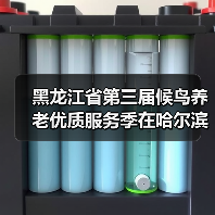 黑龙江省第三届候鸟养老优质服务季在哈尔滨启动（图1）