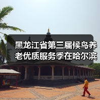 黑龙江省第三届候鸟养老优质服务季在哈尔滨启动（图4）