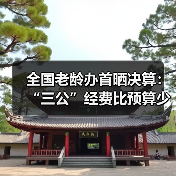 全国老龄办首晒决算:“三公”经费比预算少花近三成(图1) 全国老龄办首晒决算:“三公”经费比预算少花近三成(图1)
