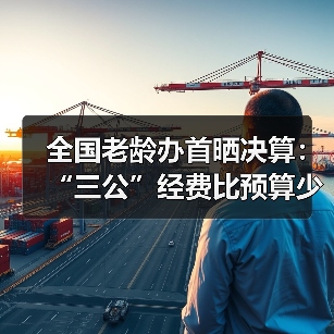 全国老龄办首晒决算:“三公”经费比预算少花近三成(图3) 全国老龄办首晒决算:“三公”经费比预算少花近三成(图3)